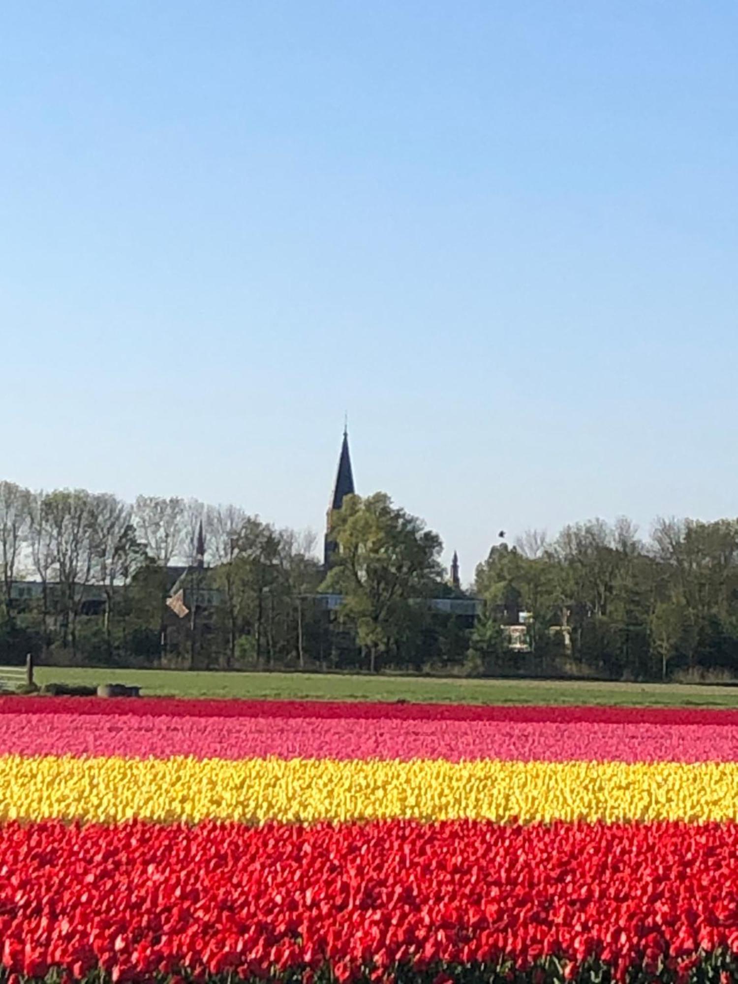 Prins Heerlijk Sassenheim Eksteriør bilde